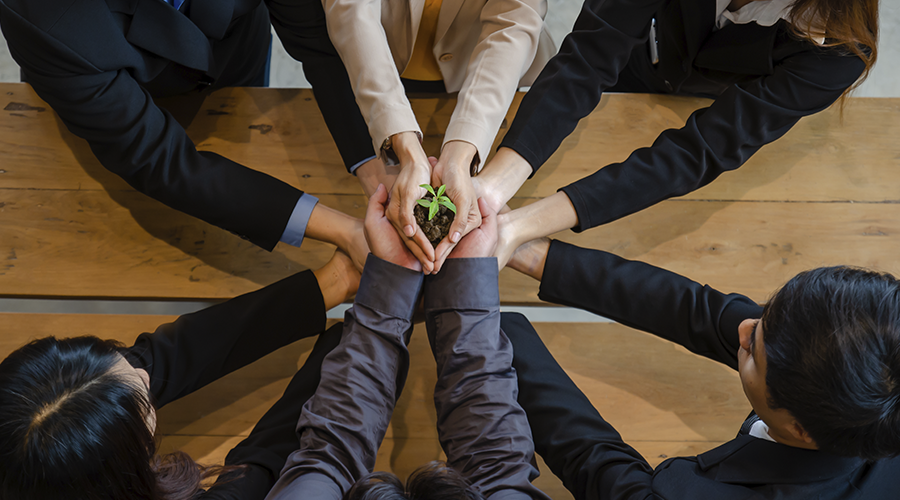 Curso de Sostenibilidad Corporativa